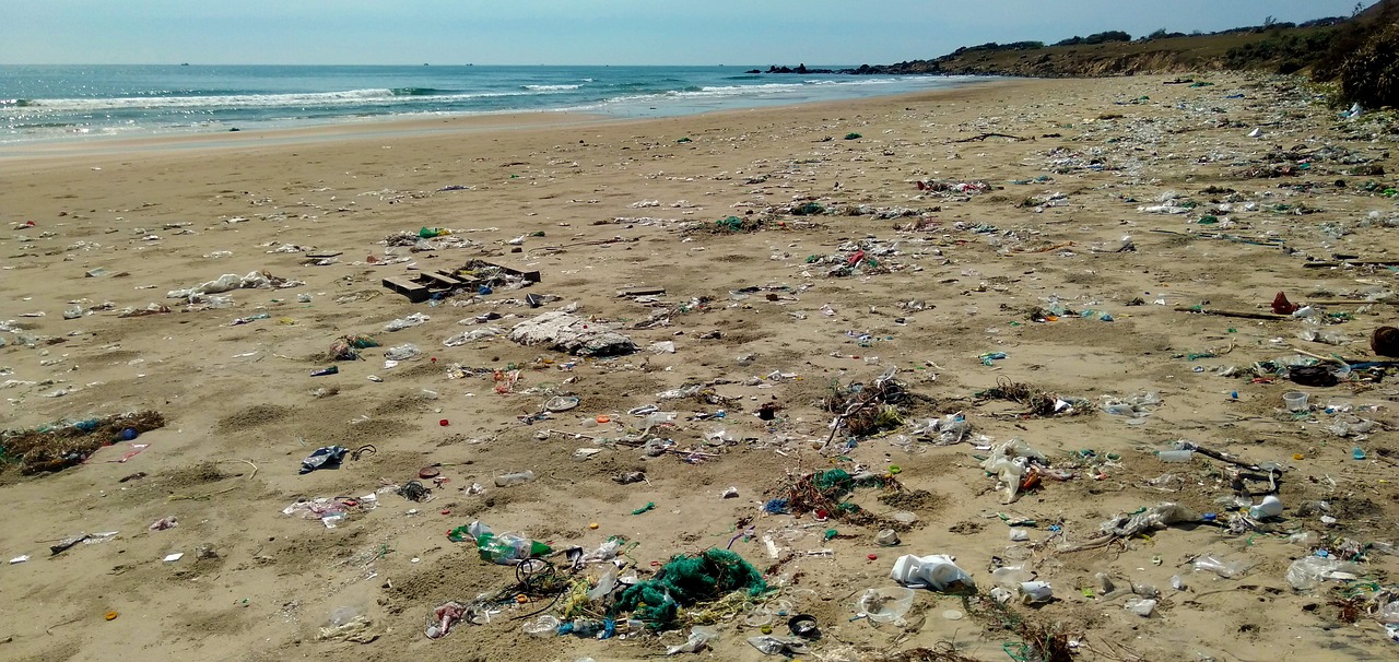 Plastic Pollution - Problem and Solutions